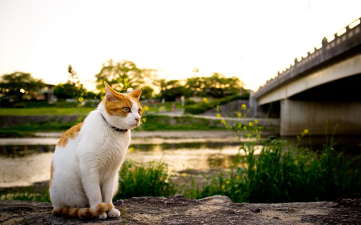 629598 (a): :2560x1600
